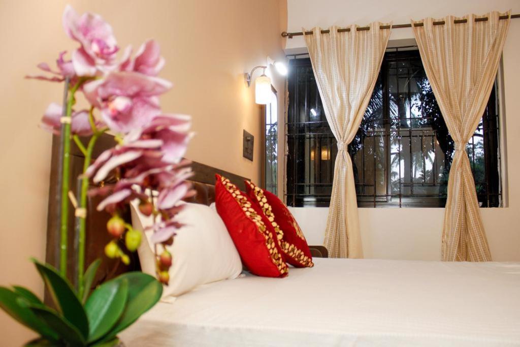 كُلفا Carolina Guesthouse المظهر الخارجي الصورة